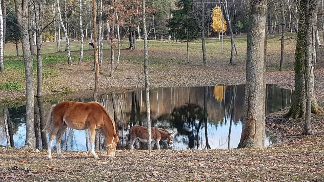 Villa Cheval Aukštadvaris Kültér fotó