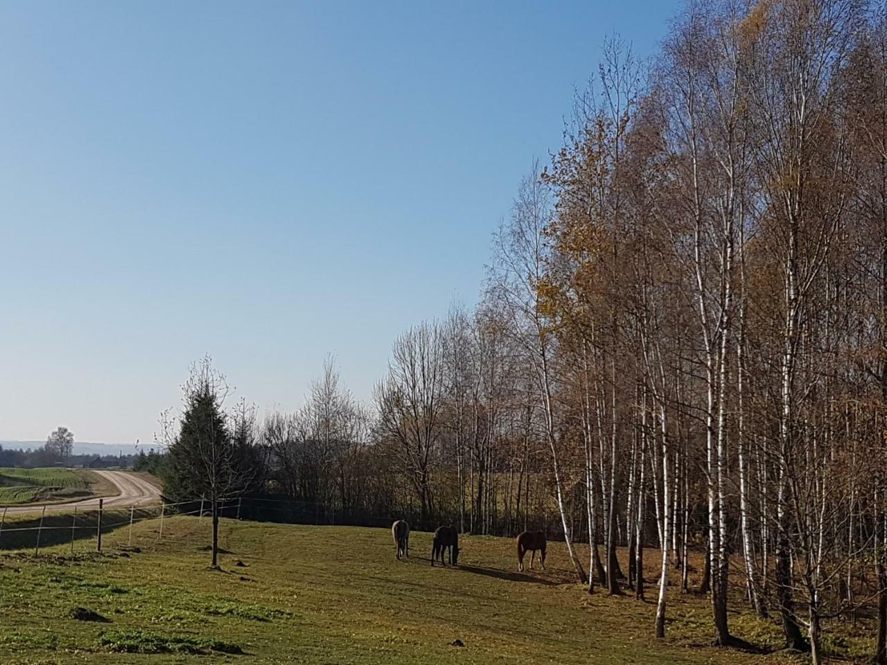 Villa Cheval Aukštadvaris Kültér fotó