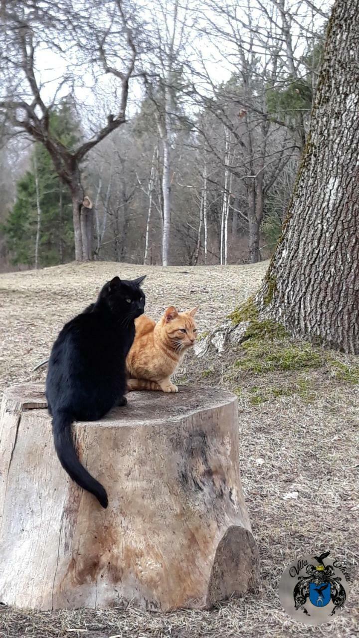 Villa Cheval Aukštadvaris Kültér fotó