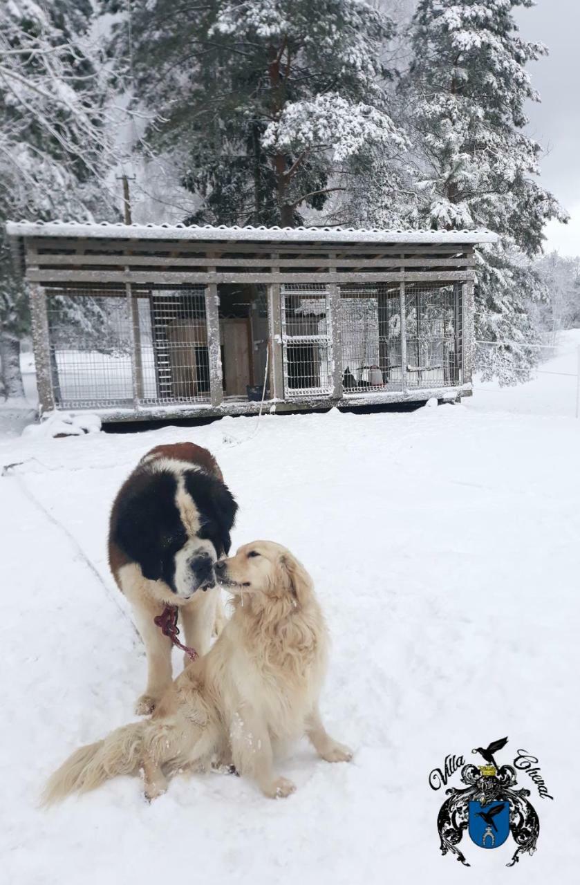 Villa Cheval Aukštadvaris Kültér fotó