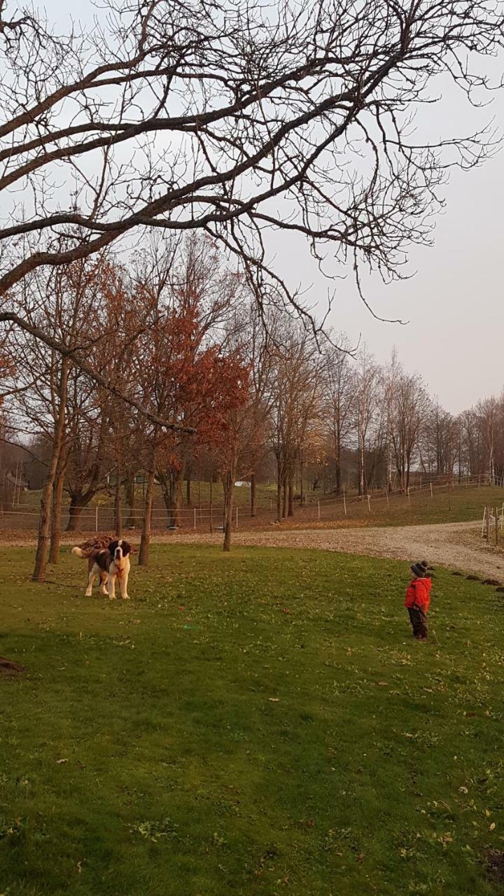 Villa Cheval Aukštadvaris Kültér fotó