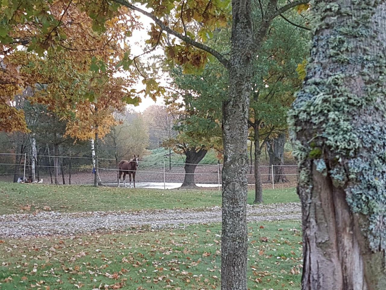 Villa Cheval Aukštadvaris Kültér fotó