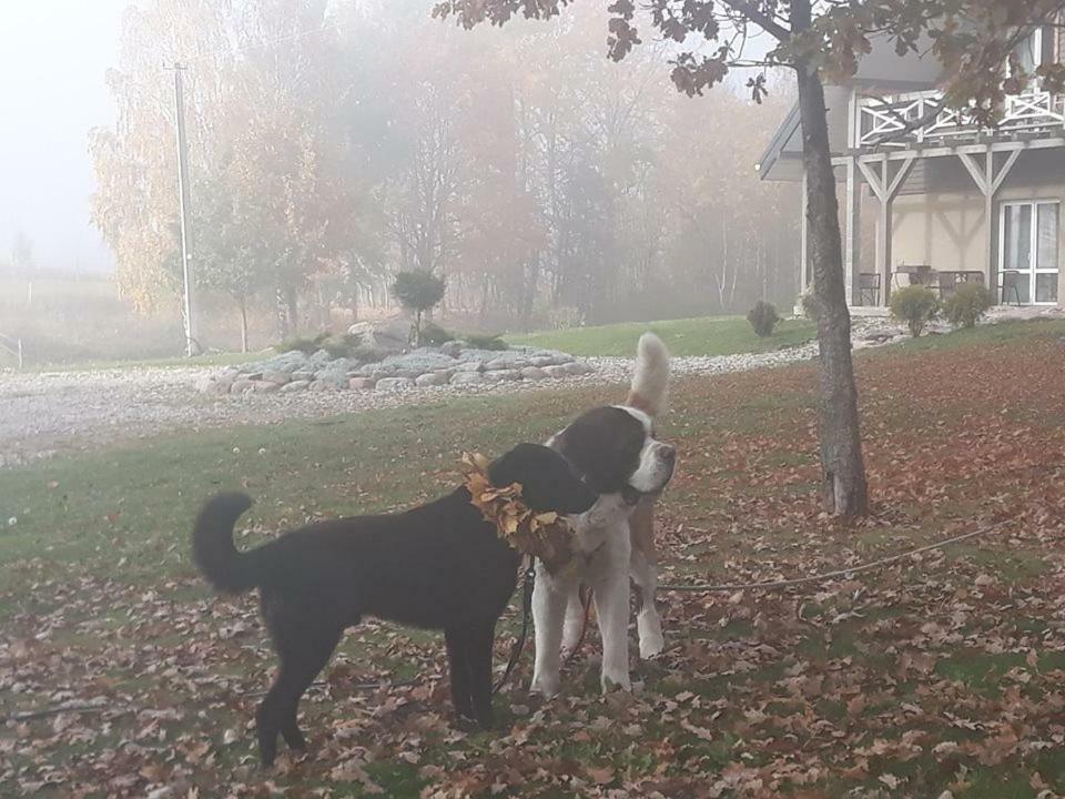 Villa Cheval Aukštadvaris Kültér fotó