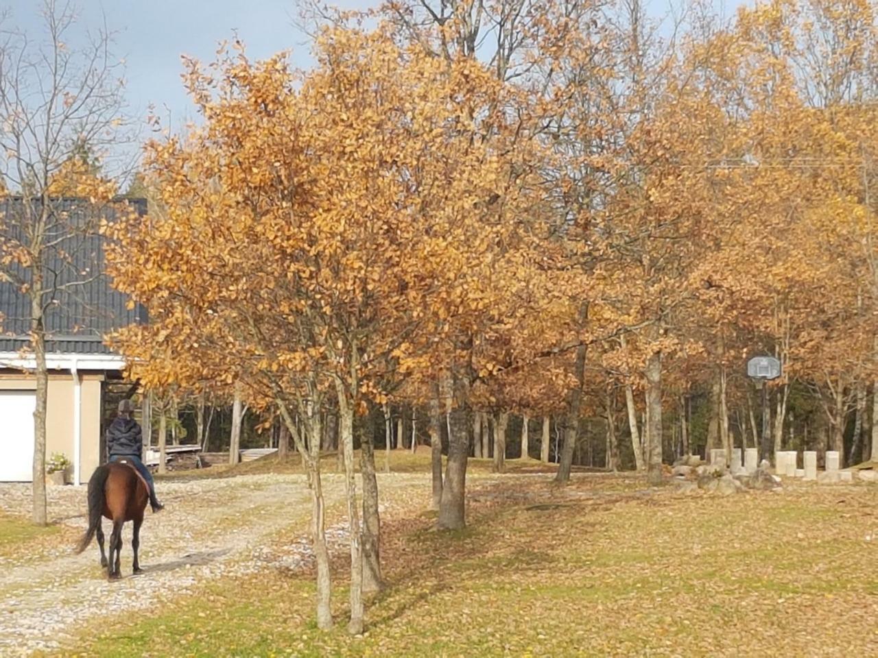 Villa Cheval Aukštadvaris Kültér fotó